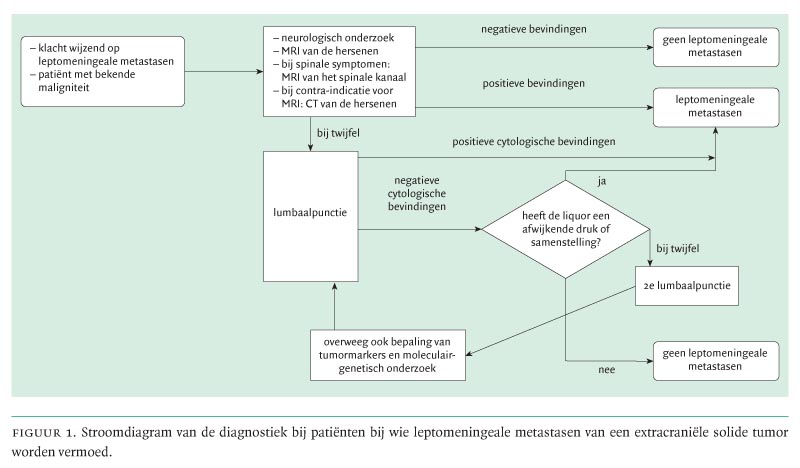 Immunotherapie Kleincellig Longcarcinoom