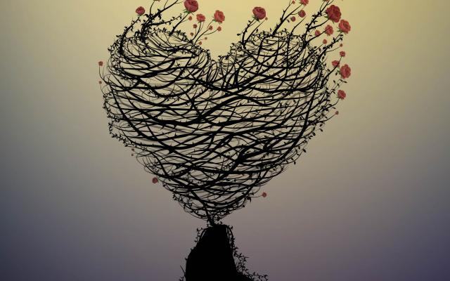 Illustratie van een rozenstruik in de vorm van een hart.