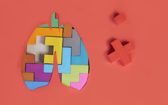 Een puzzel in de vorm van een paar longen.