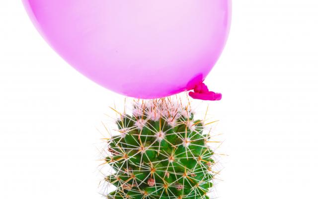 Een cactus en een roze ballon.