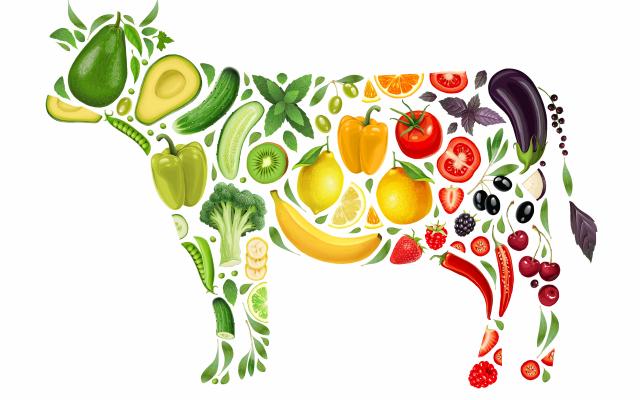 Illustratie van een koe opgebouwd uit groente en fruit