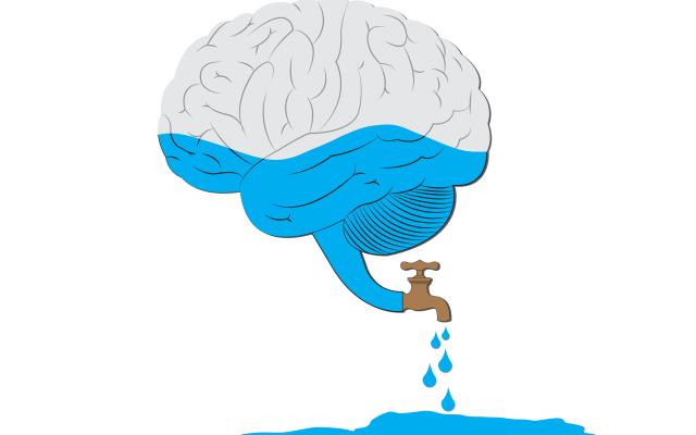 Een illustratie van hersenen waar water via een kraantje uitloopt