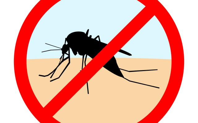 Een verbodsbord van een mug