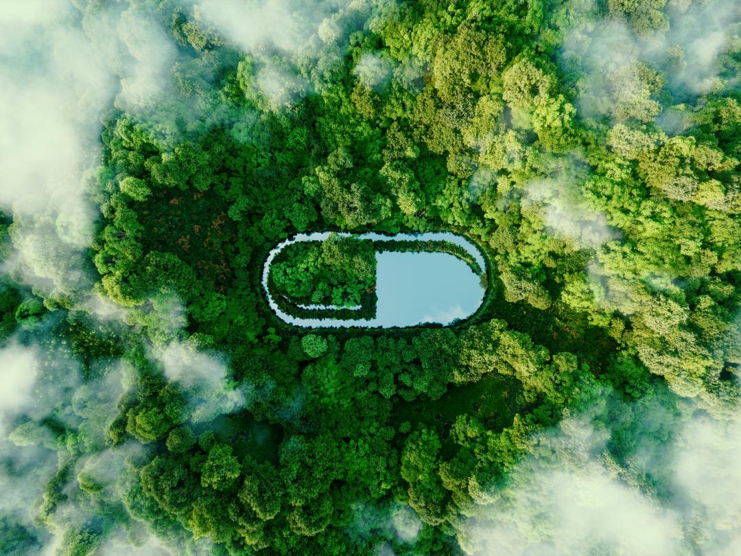 Foto van een groen bos in vogelperspectief. In het midden ligt een meer, wat van bovenaf de vorm heeft van een pilcapsule.