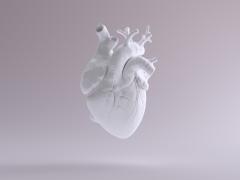 Illustratie van een hart