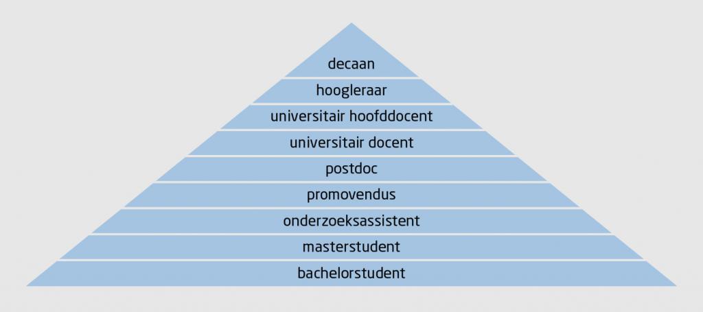 Figuur | De academische hiërarchische piramide