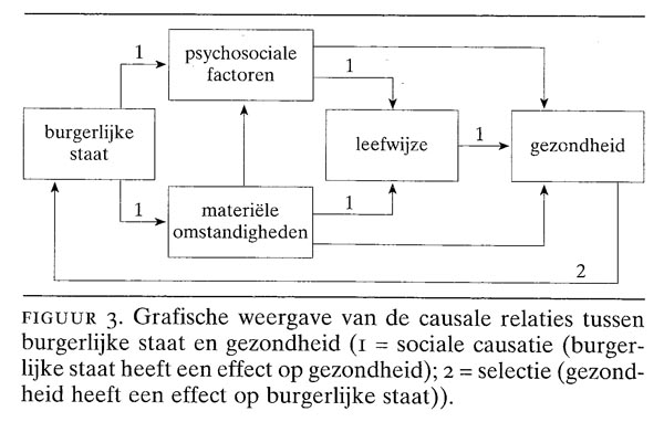 De relatie tussen burgerlijke staat en gezondheid | Nederlands