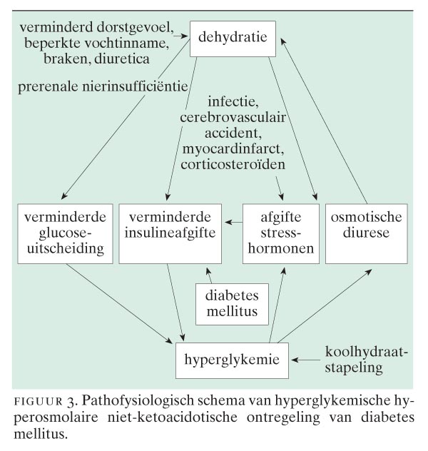 Het Hyperglykemisch Dehydratiesyndroom Nederlands Tijdschrift Voor Geneeskunde