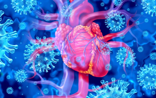 Beeld: wildpixel/Istock.com Illustratie: hart met covid-virus er omheen