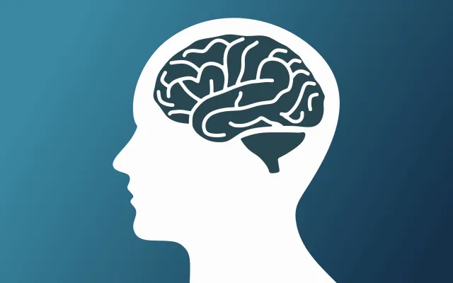 Beeld: GrafikLab/iStock.com Illustratie van hersenen