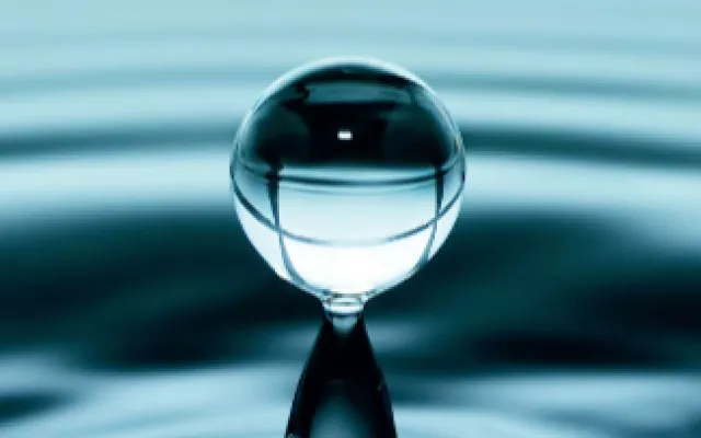 C4923_f0.png