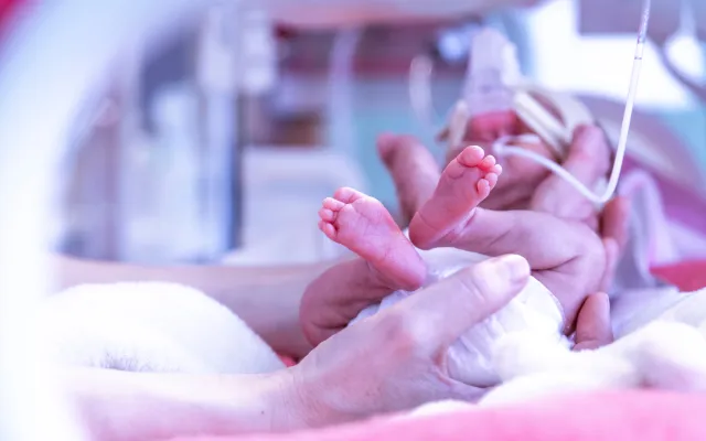 Een baby in een couveuse.