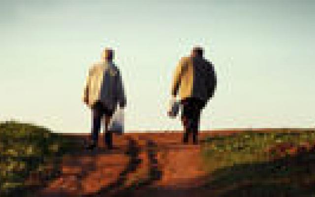 Fracturen en antidepressiva