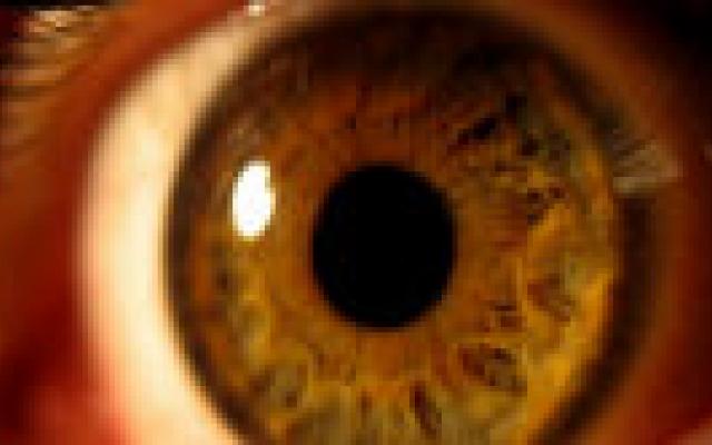 Eerste poging stamceltherapie voor gelevlekziekte