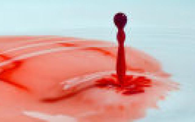 Eigen beenmergstamcellen tegen afstoting donornier