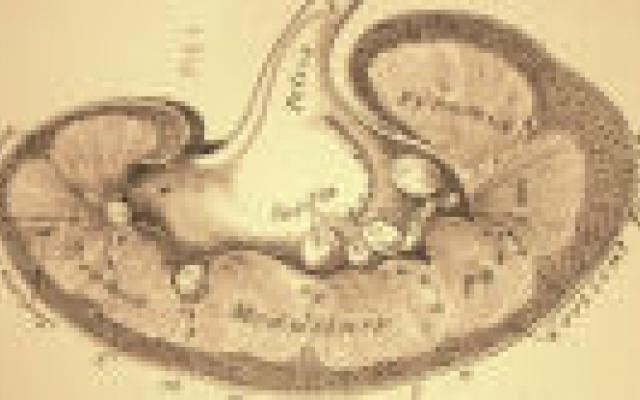 Misschien toch geen plaatjesremmers voor chronische nierzieken?