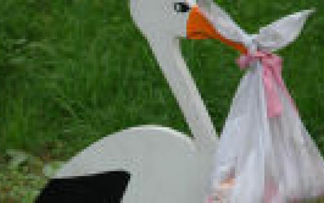 Pessarium kan veel vroegtijdige geboorten voorkomen