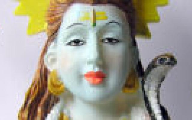 India beschermt traditionele geneesmiddelen