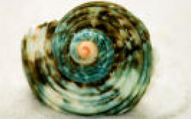 Draad cochleair implantaat verschuift regelmatig