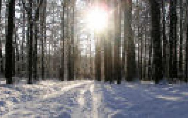 Verband tussen sterfte ouderen en seizoensvirussen