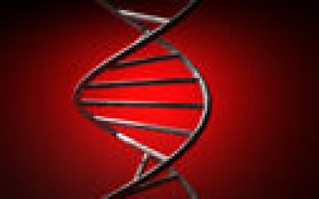 Autisme-gen bezorgt kinderen ook buikpijn