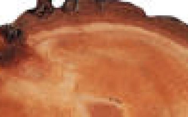 CT-scan en risico op kanker