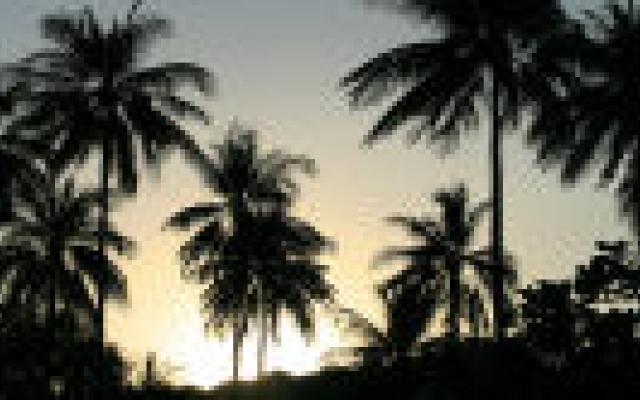 Bewijs voor effectiviteit behandeling tropische weesziekte vaak mager