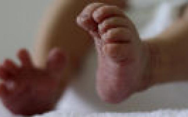 Geen geloof meer in Bishop