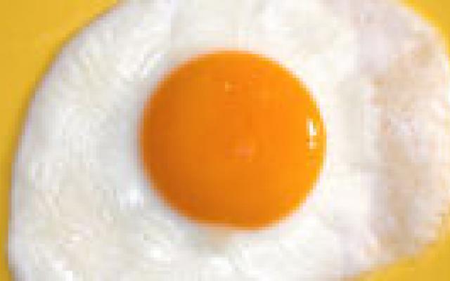 Eenmaal per etmaal een eimaal niet fataal