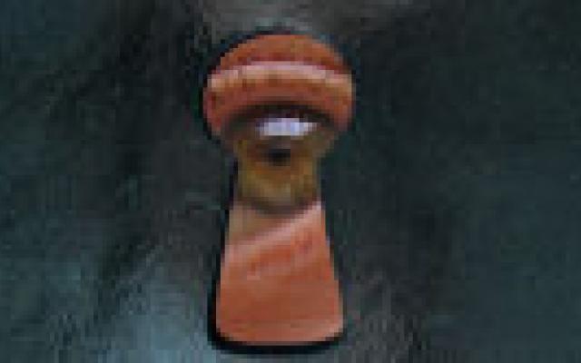 Locked-insyndroom zeldzaam in verpleeghuizen