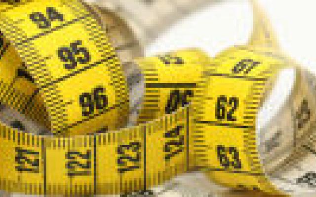 Tamelijk dikke nierdonoren doen het prima