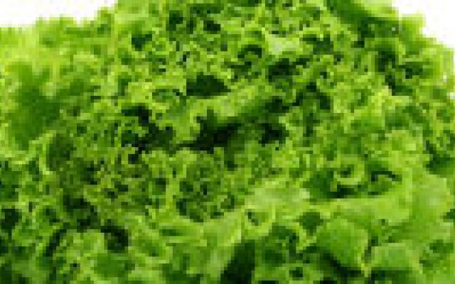 Lagere slagingskans reumabehandeling bij hoger BMI