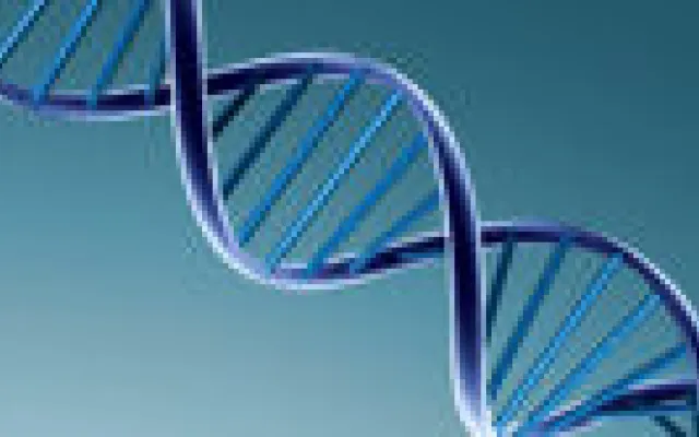 Ontwikkeling embryo minder exponentieel dan gedacht
