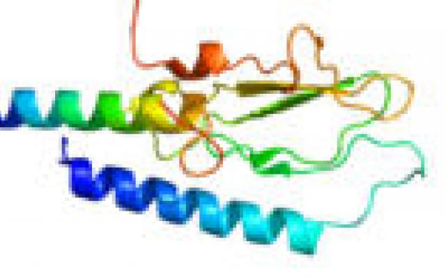 Glucagonachtig-peptide-1-middelen verhogen risico op pancreatitis