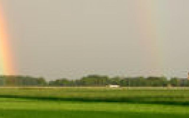 Meer perinatale sterfte in het noorden van land