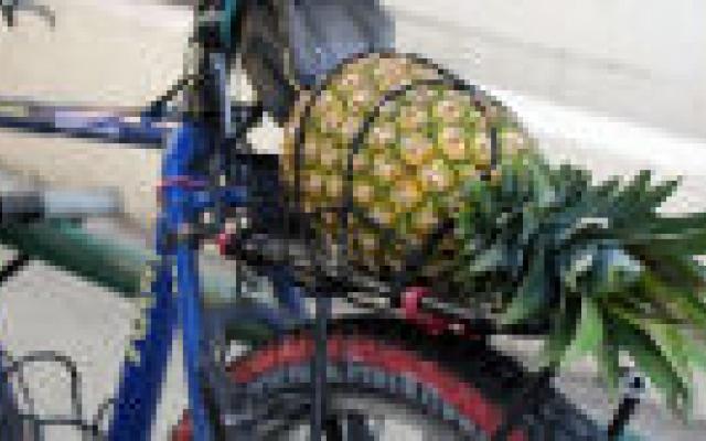 Eén gezondheidsboodschap tegen hart- en vaatziekten en kanker