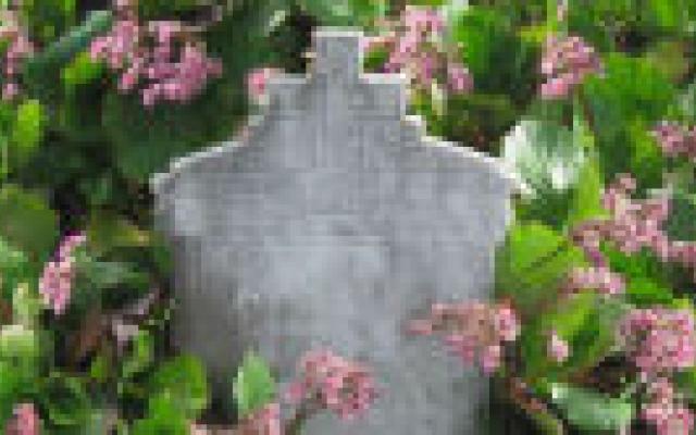 ‘Death with Dignity’ in de Verenigde Staten