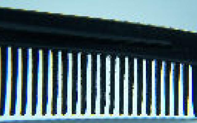 Speciale zenuwvezels voor strelingen