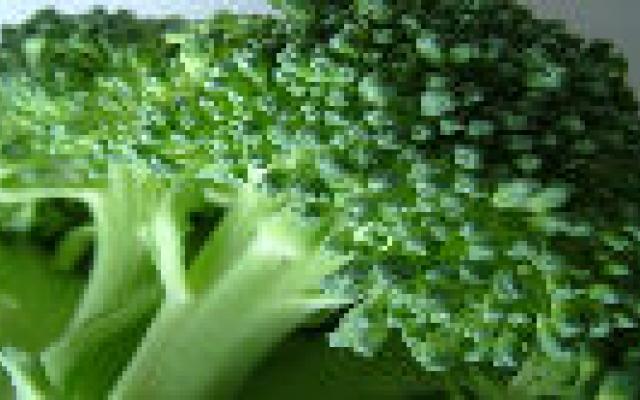 Foliumzuur tegen vroeggeboorte?