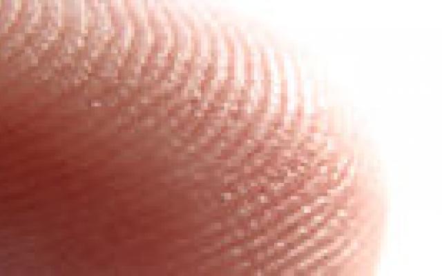 Huid speelt rol bij bloeddruk