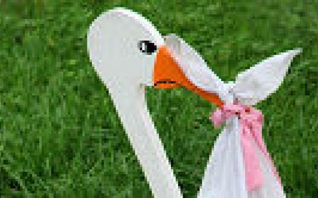 Zuurremmers tijdens zwangerschap leiden mogelijk tot peuterastma