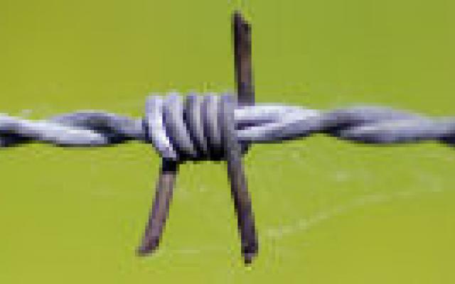 Maagverkleining helpt niet tegen de pijn