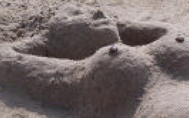 Sinds trastuzumab betere overleving gemetastaseerd HER2-positief mammacarcinoom