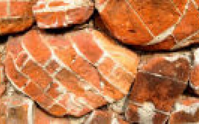 Lagere risico’s bij BRCA-mutaties