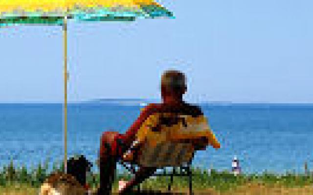 Seizoen beïnvloedt vitamine D-status meer dan leeftijd