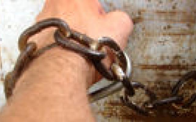 Arts-terrorist veroordeeld