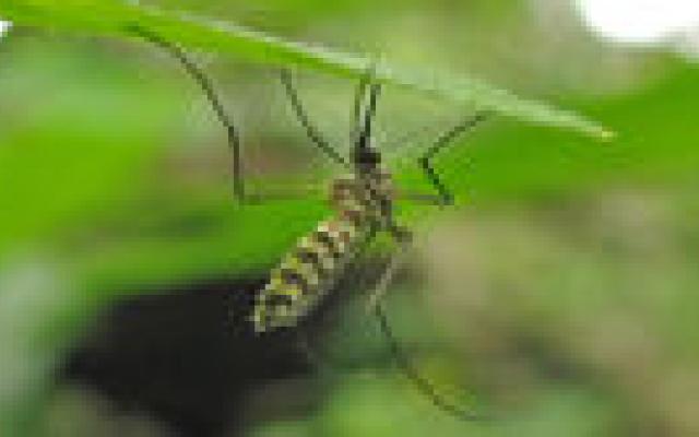 Medicijnfabrikanten negeren oproep WHO