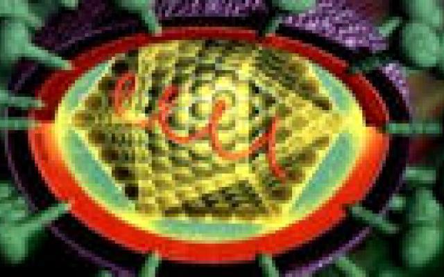 Hepatitis C: genen bepalen werkzaamheid therapie