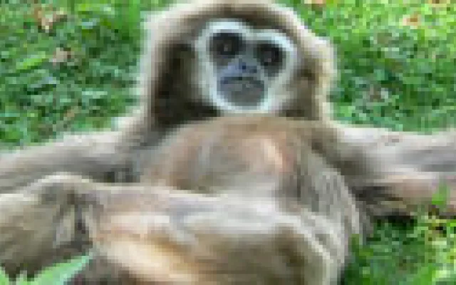 200 jaar na Darwin