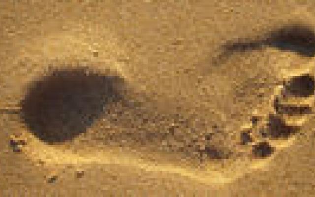 Ook trials hebben ‘koolstofvoetafdruk’